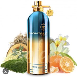 Montale Paris AOud Lagoon